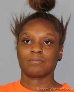 Mugshot of Annika Dantrell Dillard booked in Red River County, Texas on September 4, 2026