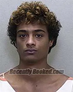 Booking photo from Marion County, Florida