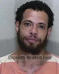 Booking photo from Marion County, Florida