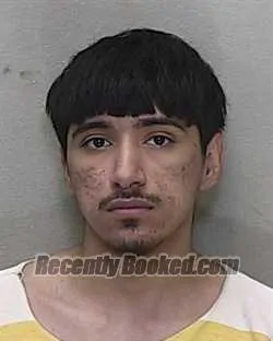 Booking photo from Marion County, Florida