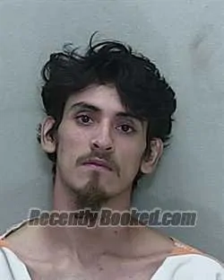 Booking photo from Marion County, Florida