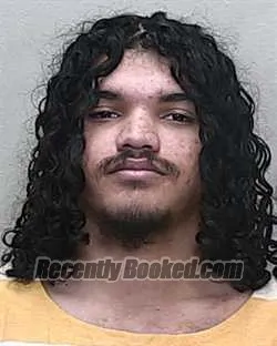 Booking photo from Marion County, Florida