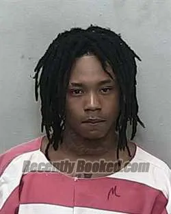 Booking photo from Marion County, Florida