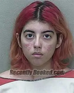 Booking photo from Marion County, Florida