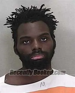 Booking photo from Marion County, Florida