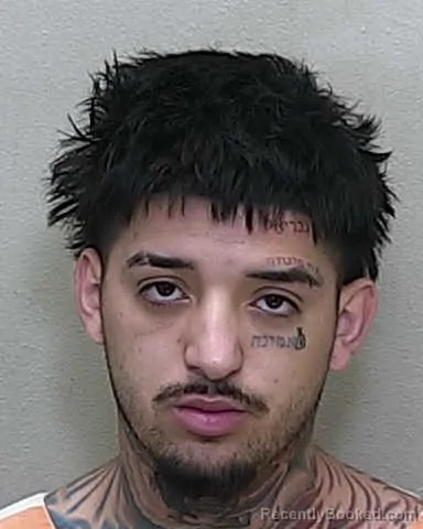 Booking photo from Marion County, Florida