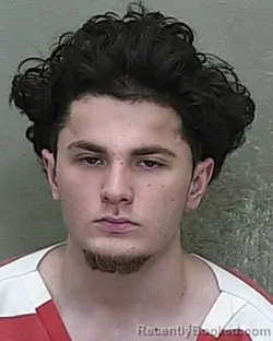 Booking photo from Marion County, Florida