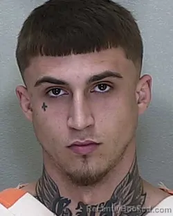 Mugshot of GEOFFREY TODD HOLGATE JR