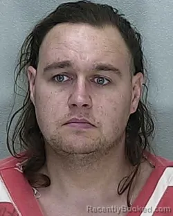 Mugshot of ANTHONY JAMES BRIAN RICHARD