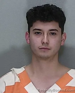 Mugshot of NICHOLAS ENRIQUE MEDINA