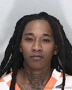 Mugshot of ARIANA ANTONETTE LOFTON
