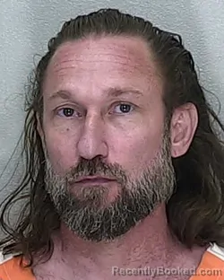 Mugshot of DARREN J BRANDJES