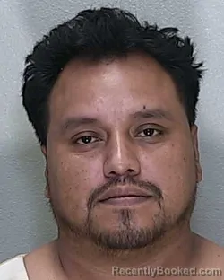 Mugshot of AMERICO LOPEZ-CHILEL