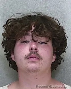 Mugshot of ALEX ROBERT LOWE