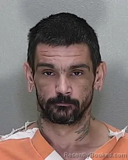 Mugshot of BRIAN MICHAEL CURTIS