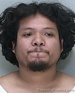 Mugshot of GUILLERMO ARIAS CORTEZ