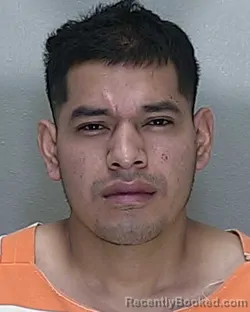 Mugshot of ELIAS FRANSISCO HERNANDEZ-HERNANDEZ