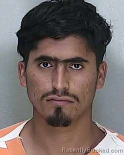 Mugshot of WILLIAM EMMANUEL HERRERA FIGUEROA