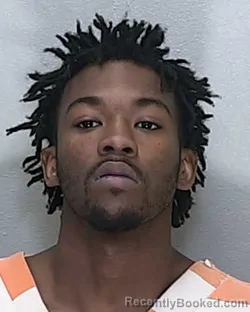 Mugshot of WALTER JOHNSON JR