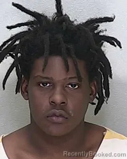 Mugshot of DELTON MODICAN