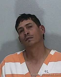Mugshot of IVANELL REYES HERNANDEZ
