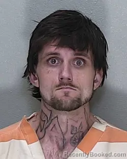 Mugshot of BLAKE CASSIDY POWELL