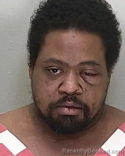 Mugshot of CHRISTOPHER SHERMAN DAVID MCHELLON