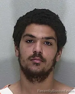 Mugshot of STEVEN CHRISTOPHER HOGAN