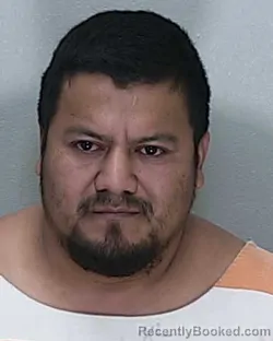 Mugshot of ELVIS ARELL CALIX