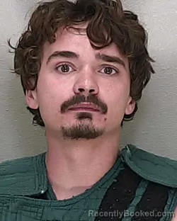 Mugshot of JACOB WILLIAMS