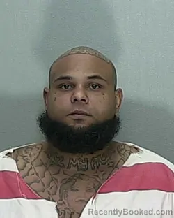 Mugshot of TRAVIS JERMAINE WILLIAMS