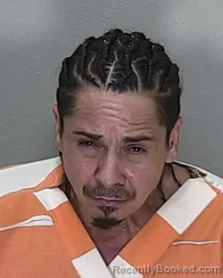 Mugshot of JOSEPH RAY FULMER