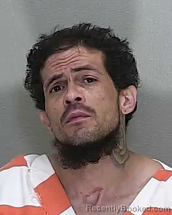 Mugshot of ANGEL MIGUEL MALDONADO
