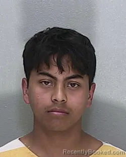 Mugshot of LUIS BOCANEGRA TORRES