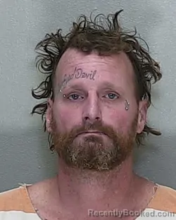 Mugshot of ANTHONY FRANCIS ARENAS