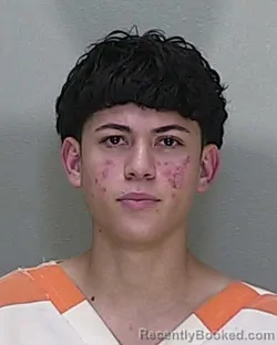 Mugshot of JETXELL JUNIOR PEREZ SANCHEZ
