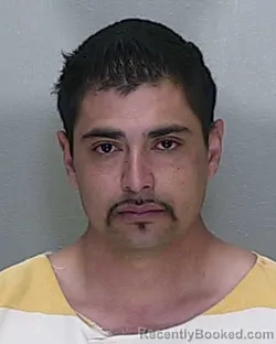 Mugshot of VICTOR ESTEBAN HERRERA GUTIERREZ