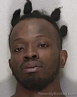 Mugshot of JAMES EARL JACKSON JR