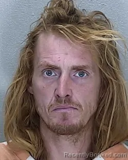 Mugshot of DAVID ALLEN HOLT