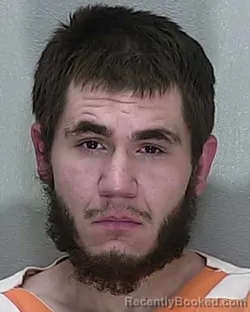 Mugshot of CHRISTOPHER LESLIE