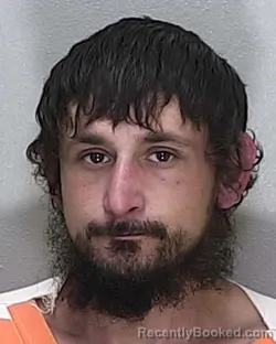 Mugshot of BRIAN LEE PEACH