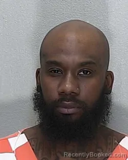 Mugshot of DOMINIC MCKENZIE JOHNSON