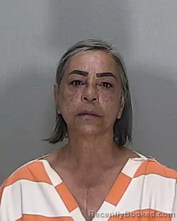 Mugshot of GLADYS VALERO