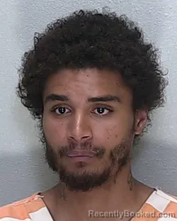 Mugshot of DERRICK LAMARION MCNAIR