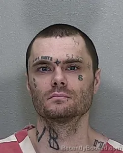 Mugshot of DILLON JAMES GRESHAM
