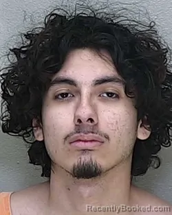 Mugshot of MICIELO ANGEL ALVARADO