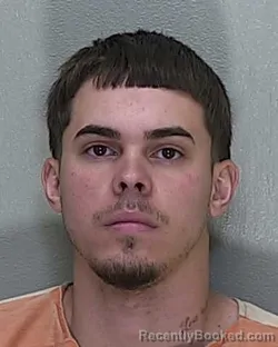 Mugshot of JADIN VERA