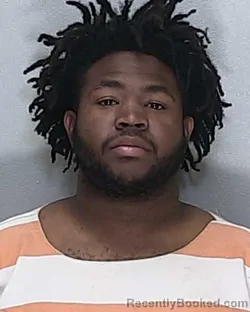 Mugshot of DONTERRIO ORIENTAL JOHNSON