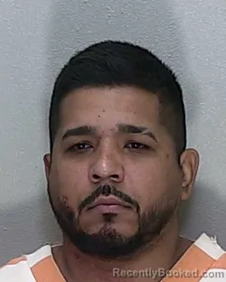 Mugshot of VIRGILO JESUS GONZALEZ OCHOA