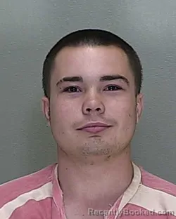 Mugshot of JOSHUA RANDAL VINING